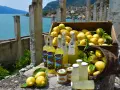 Limoni sul Garda, con bottiglie di limoncello e marmellata, sullo sfondo del lago e di un borgo.