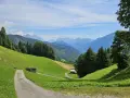 Sentiero tra prati verdi e boschi, con casette di legno e montagne sullo sfondo. Sagron Mis, cosa vedere in questo paradiso alpino!