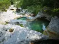 Acque cristalline scorrono tra le rocce levigate dei **cadini del Brenton**, creando piscine naturali immerse nel verde.