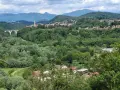 Panoramica collinare con un ponte ad archi, un campanile e case sparse a Cassano Magnago, circondata da rigogliosa vegetazione.