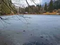 Lago Welsperg ghiacciato, con un rifugio tra gli alberi. Per sapere come arrivare, cerca indicazioni online.