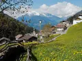 Un prato fiorito di gialli ranuncoli abbraccia San Leonardo in Passiria, con case tradizionali e montagne innevate sullo sfondo.