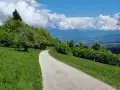 Strada panoramica verso la malga Gardà Lentiai, con verdi prati, alberi rigogliosi e montagne sullo sfondo sotto un cielo azzurro con nuvole bianche.
