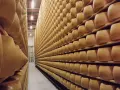 Grandi forme di Parmigiano Reggiano in stagionatura, un'esperienza da non perdere tra Modena e Reggio Emilia.
