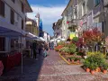 Mercato a San Giorgio Canavese con bancarelle di fiori e prodotti locali.