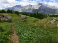 Sentiero per alpe devero trekking tra baite in pietra e montagne maestose.