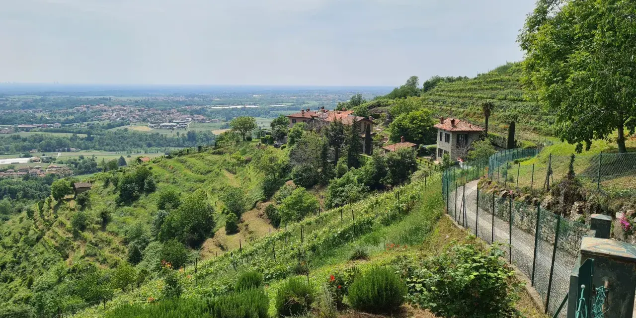 Panoramica dei sentieri ad anello di Montevecchia, con vigneti a terrazze, case in pietra e vista sulla pianura.