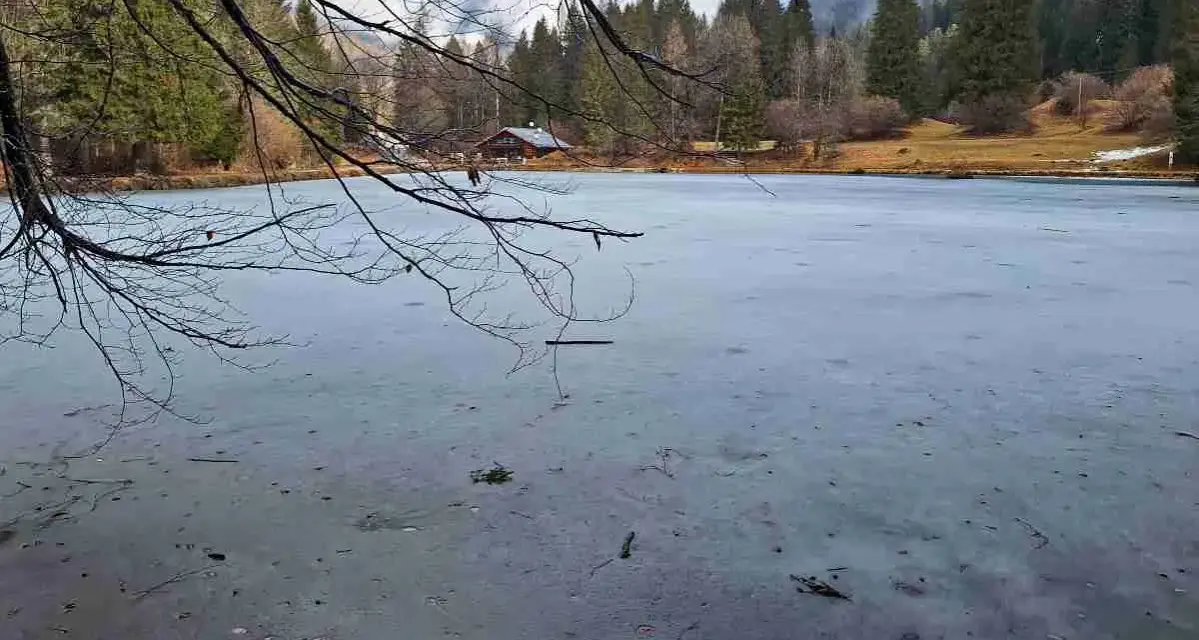 Lago Welsperg ghiacciato, con un rifugio tra gli alberi. Per sapere come arrivare, cerca indicazioni online.