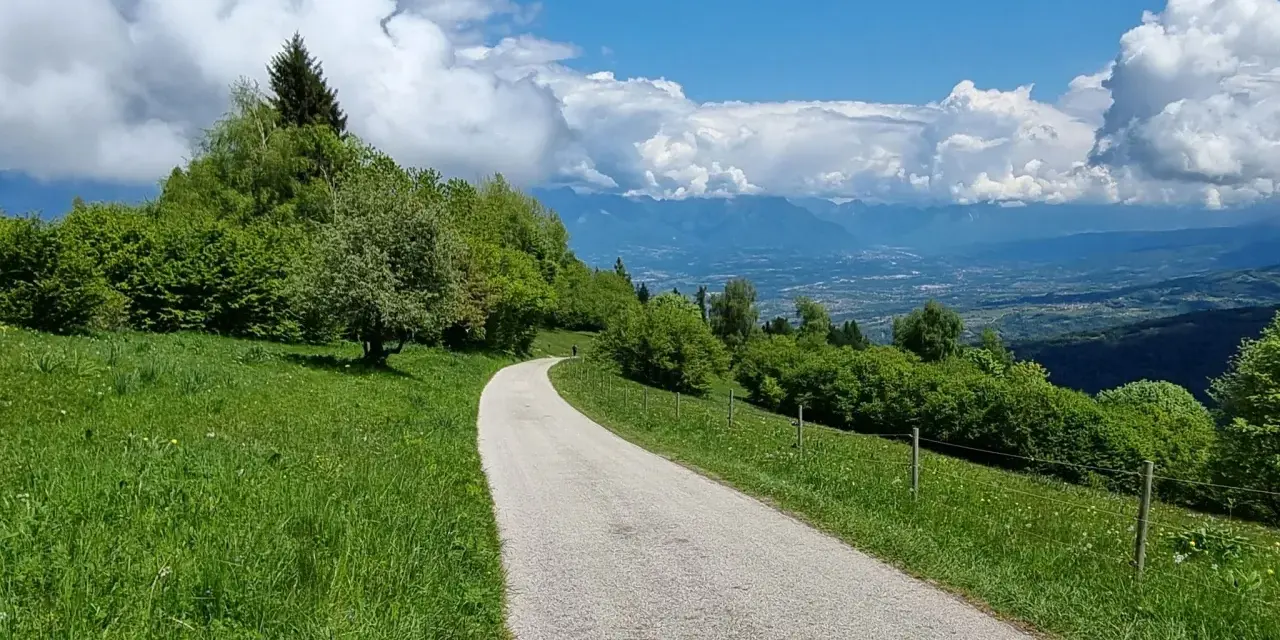Strada panoramica verso la malga Gardà Lentiai, con verdi prati, alberi rigogliosi e montagne sullo sfondo sotto un cielo azzurro con nuvole bianche.
