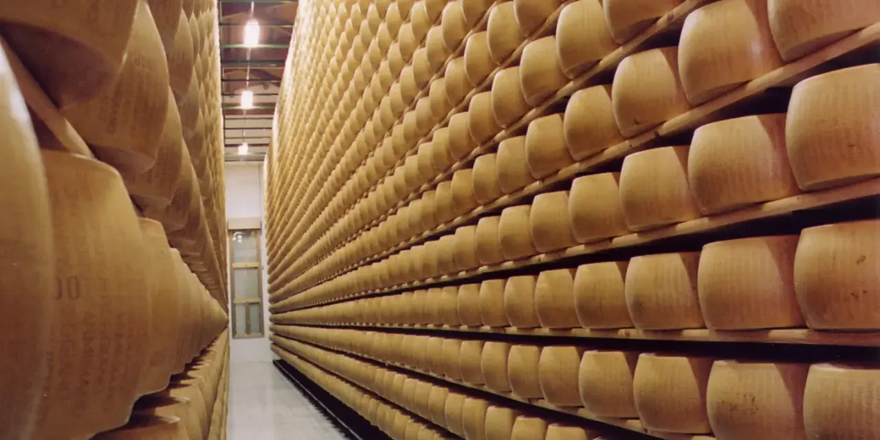 Grandi forme di Parmigiano Reggiano in stagionatura, un'esperienza da non perdere tra Modena e Reggio Emilia.