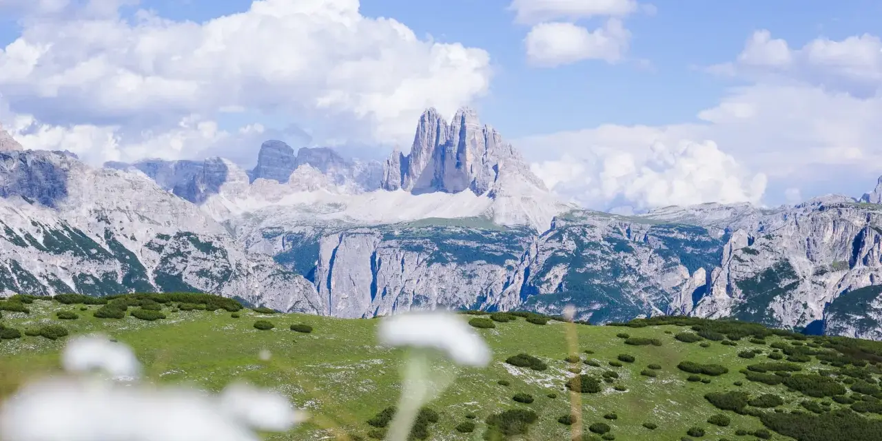 Un prato verde con specie da prato piazza si estende verso imponenti montagne rocciose sotto un cielo azzurro con nuvole bianche.