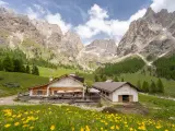 Malga Contrin, un rifugio alpino incastonato tra le maestose Dolomiti, raggiungibile con sentieri panoramici.