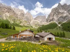Malga Contrin, un rifugio alpino incastonato tra le maestose Dolomiti, raggiungibile con sentieri panoramici.