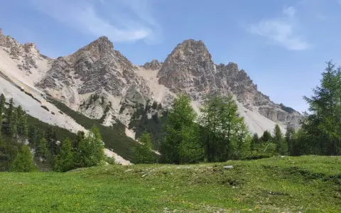 Prati verdi e larici svettano verso le imponenti cime rocciose, un paesaggio mozzafiato vicino alla malga Gran Fanes.