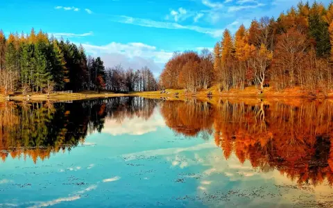 Specchio d'acqua sereno riflette alberi autunnali e cielo azzurro. Un angolo di pace tra i laghi dell'Emilia Romagna.
