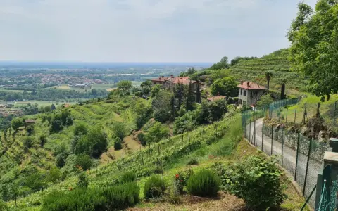Panoramica dei sentieri ad anello di Montevecchia, con vigneti a terrazze, case in pietra e vista sulla pianura.
