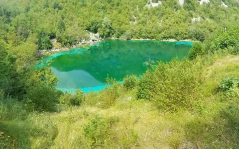 Lago di origine carsica a Forgaria nel Friuli, con acque cristalline di un verde smeraldo intenso, circondato da vegetazione lussureggiante.