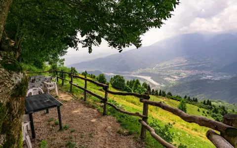 Tavoli e sedie sotto un albero offrono una vista panoramica sulla valle dalla malga Molvine Binot.
