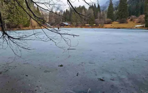 Lago Welsperg ghiacciato, con un rifugio tra gli alberi. Per sapere come arrivare, cerca indicazioni online.