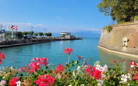 Fiori rossi e bianchi in primo piano, con un molo, un traghetto e montagne sullo sfondo. Un'immagine che evoca i paesi vicino Peschiera del Garda.