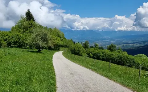 Strada panoramica verso la malga Gardà Lentiai, con verdi prati, alberi rigogliosi e montagne sullo sfondo sotto un cielo azzurro con nuvole bianche.
