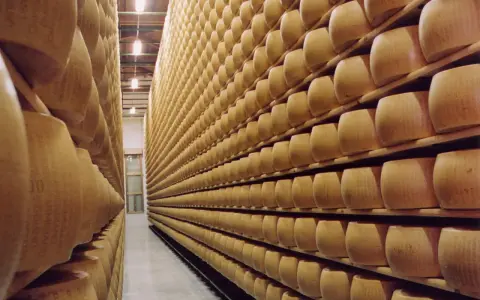 Grandi forme di Parmigiano Reggiano in stagionatura, un'esperienza da non perdere tra Modena e Reggio Emilia.