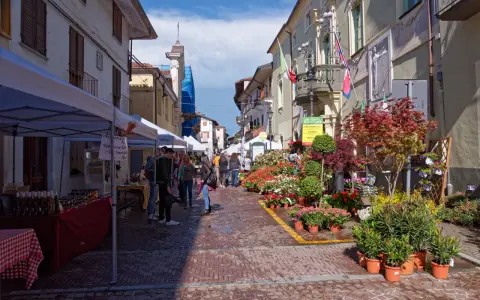 Mercato a San Giorgio Canavese con bancarelle di fiori e prodotti locali.