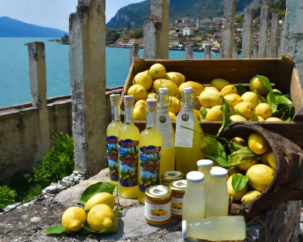 Limoni sul Garda, con bottiglie di limoncello e marmellata, sullo sfondo del lago e di un borgo.