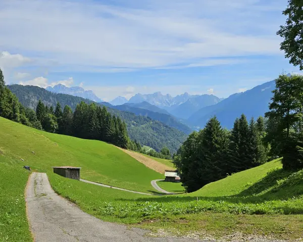 Sentiero tra prati verdi e boschi, con casette di legno e montagne sullo sfondo. Sagron Mis, cosa vedere in questo paradiso alpino!