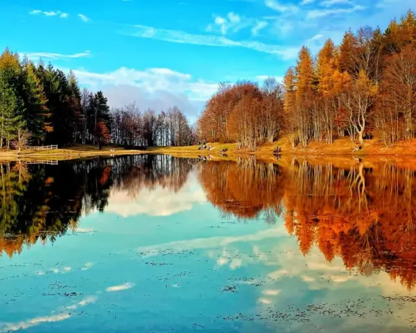 Specchio d'acqua sereno riflette alberi autunnali e cielo azzurro. Un angolo di pace tra i laghi dell'Emilia Romagna.