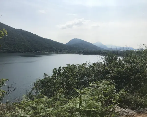 Panoramica del sentiero azzurro Mergozzo con lago e montagne verdi.