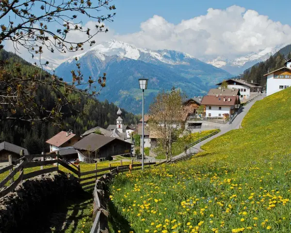 Un prato fiorito di gialli ranuncoli abbraccia San Leonardo in Passiria, con case tradizionali e montagne innevate sullo sfondo.