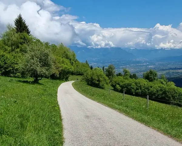 Strada panoramica verso la malga Gardà Lentiai, con verdi prati, alberi rigogliosi e montagne sullo sfondo sotto un cielo azzurro con nuvole bianche.