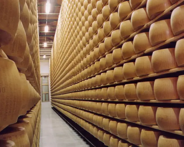 Grandi forme di Parmigiano Reggiano in stagionatura, un'esperienza da non perdere tra Modena e Reggio Emilia.