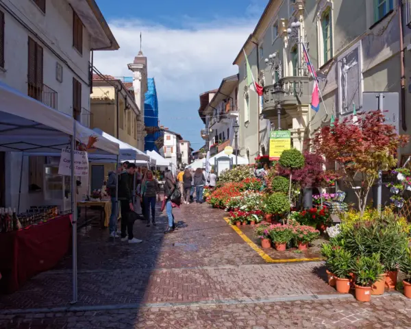 Mercato a San Giorgio Canavese con bancarelle di fiori e prodotti locali.