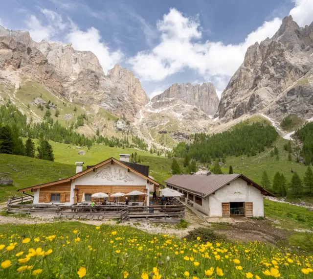 Malga Contrin, un rifugio alpino incastonato tra le maestose Dolomiti, raggiungibile con sentieri panoramici.