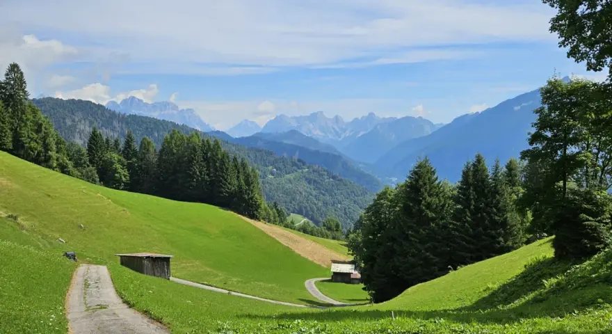 Sentiero tra prati verdi e boschi, con casette di legno e montagne sullo sfondo. Sagron Mis, cosa vedere in questo paradiso alpino!