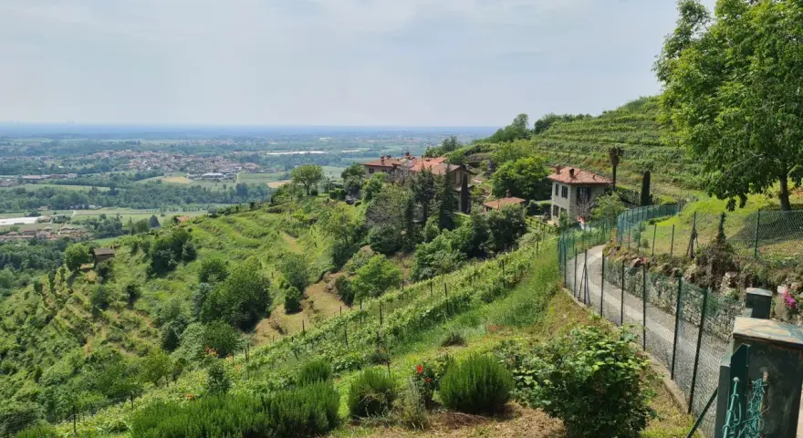Panoramica dei sentieri ad anello di Montevecchia, con vigneti a terrazze, case in pietra e vista sulla pianura.