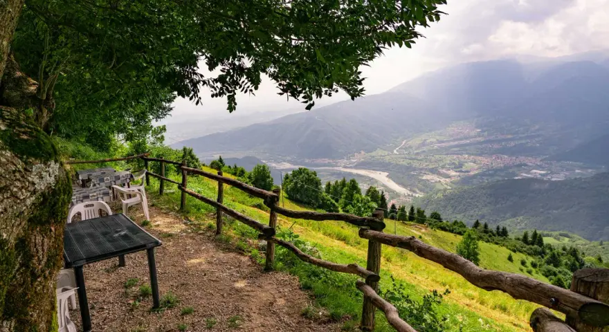 Tavoli e sedie sotto un albero offrono una vista panoramica sulla valle dalla malga Molvine Binot.
