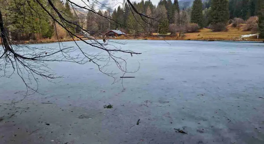 Lago Welsperg ghiacciato, con un rifugio tra gli alberi. Per sapere come arrivare, cerca indicazioni online.