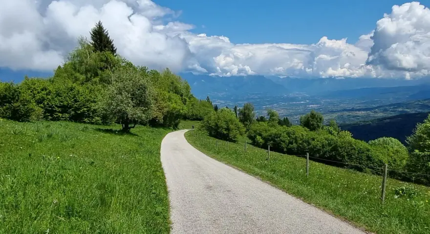 Strada panoramica verso la malga Gardà Lentiai, con verdi prati, alberi rigogliosi e montagne sullo sfondo sotto un cielo azzurro con nuvole bianche.