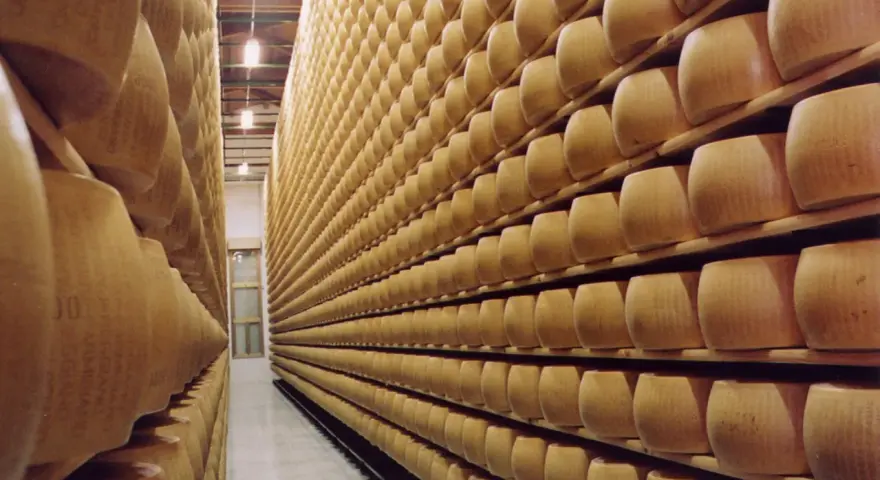 Grandi forme di Parmigiano Reggiano in stagionatura, un'esperienza da non perdere tra Modena e Reggio Emilia.