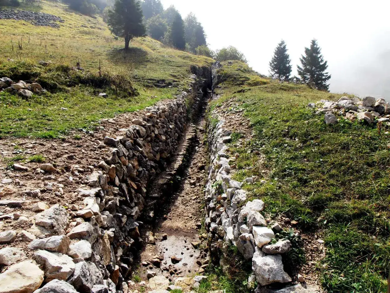 Trincea in pietra sul Monte Palon, Grappa. Un sentiero storico tra erba e alberi, testimone silenzioso del passato.