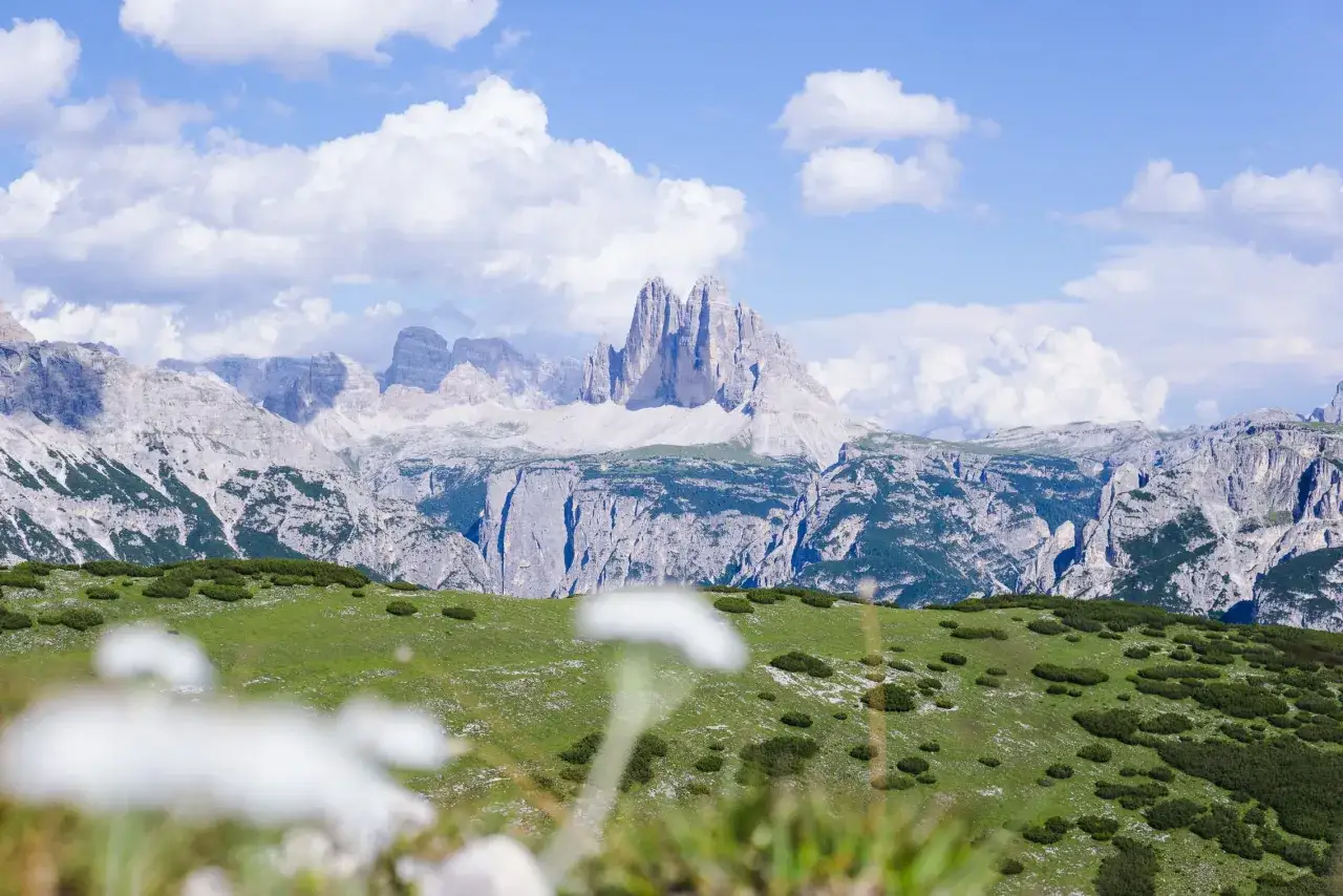 Un monte con specie da prato e piazza di rocce imponenti sotto un cielo azzurro con nuvole bianche.