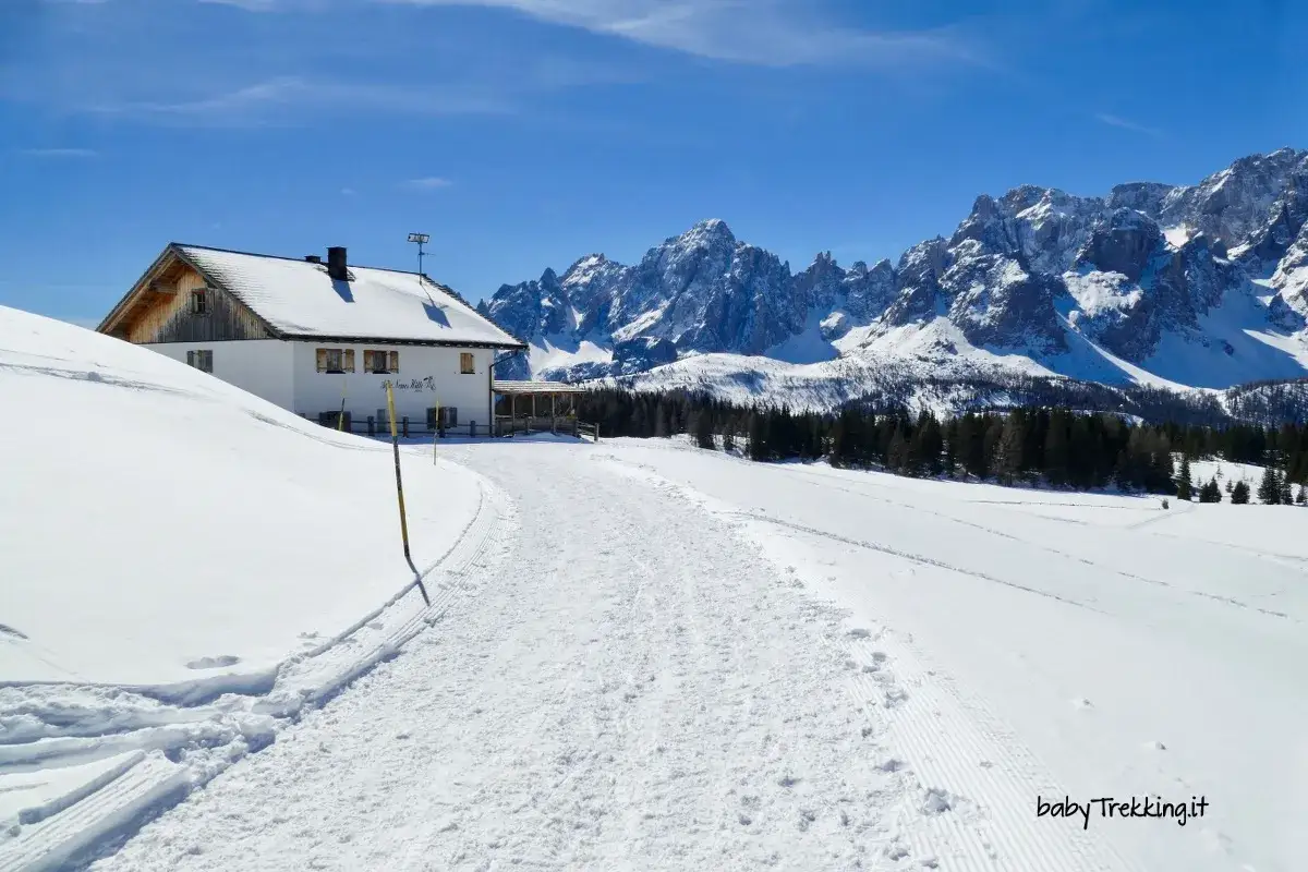 Sentiero innevato verso Malga Nemes, con montagne maestose sullo sfondo. Ecco come arrivare!