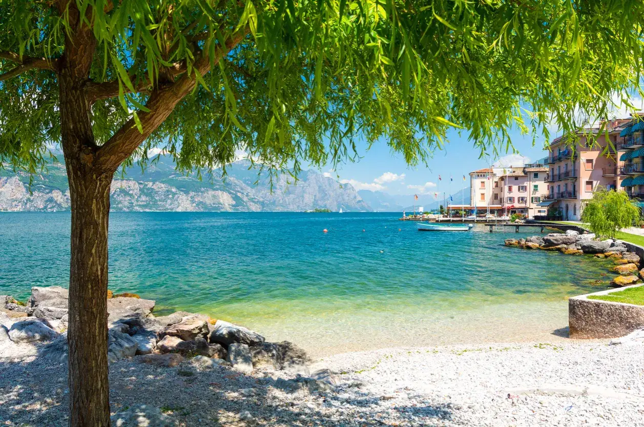 Un albero ombroso si affaccia su un tratto di lago di Garda spiagge di sabbia bianca e ciottoli, con acque cristalline e montagne sullo sfondo.