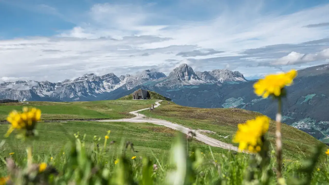 Sentiero panoramico a San Vigilio di Marebbe, con montagne maestose e fiori gialli in primo piano. Ideale per le tue passeggiate.
