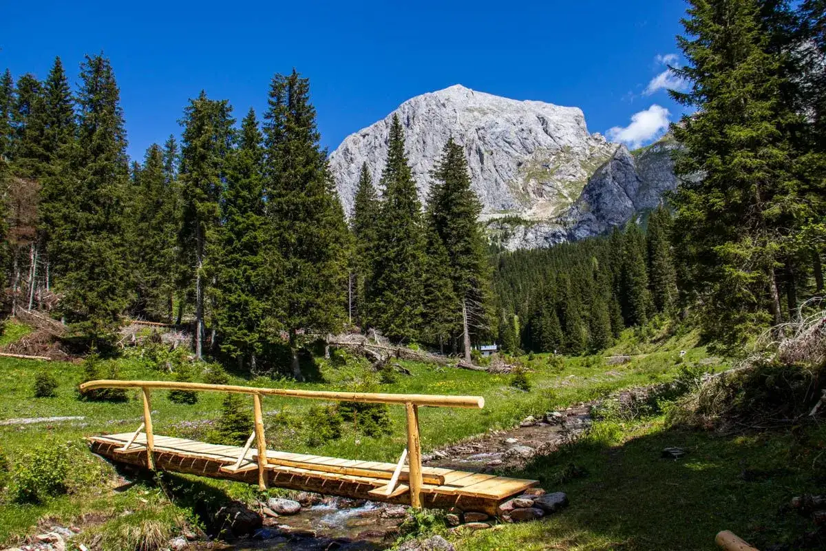 Ponte in legno su ruscello, circondato da abeti e con imponente montagna sullo sfondo. Ideale per sappada passeggiate facili.