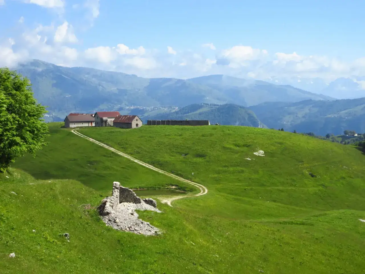 Verdi colline e malghe sul Monte Grappa, con un sentiero che serpeggia tra prati lussureggianti e ruderi antichi.