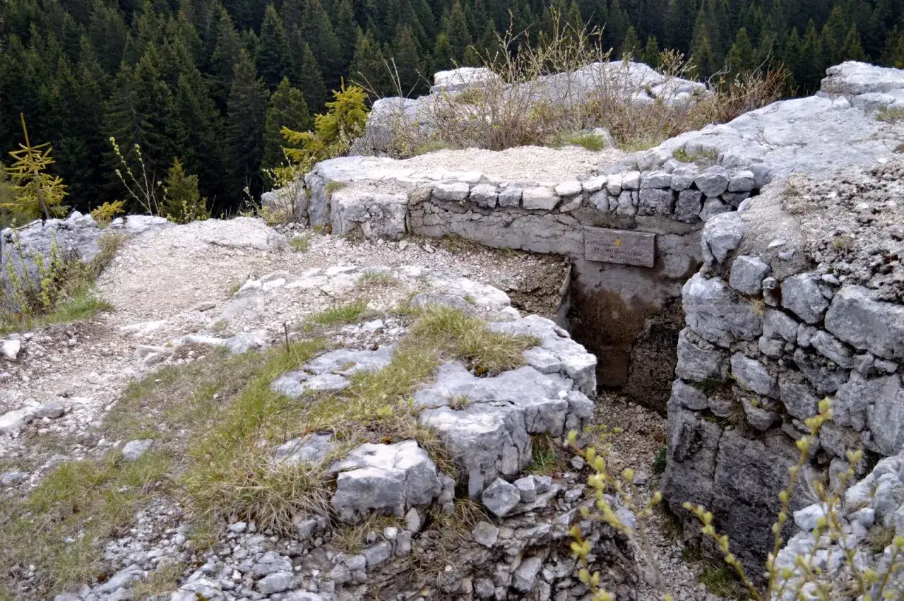 Trincee e fortificazioni in pietra sul Monte Zebio, Asiago, con una foresta di abeti sullo sfondo.